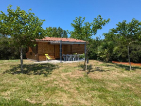 Le Chalet du Viaur